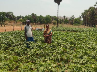 IFS Laxmipuram Karakagudem — 2026 07 10 at 11.02.08 AM 1